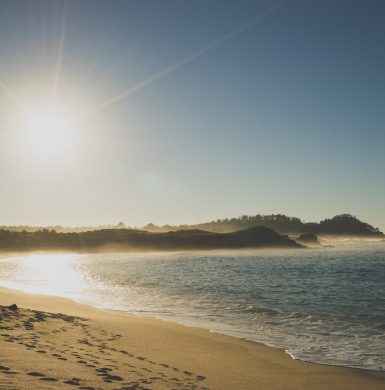 beach land survey