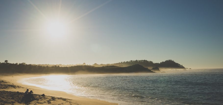 beach land survey